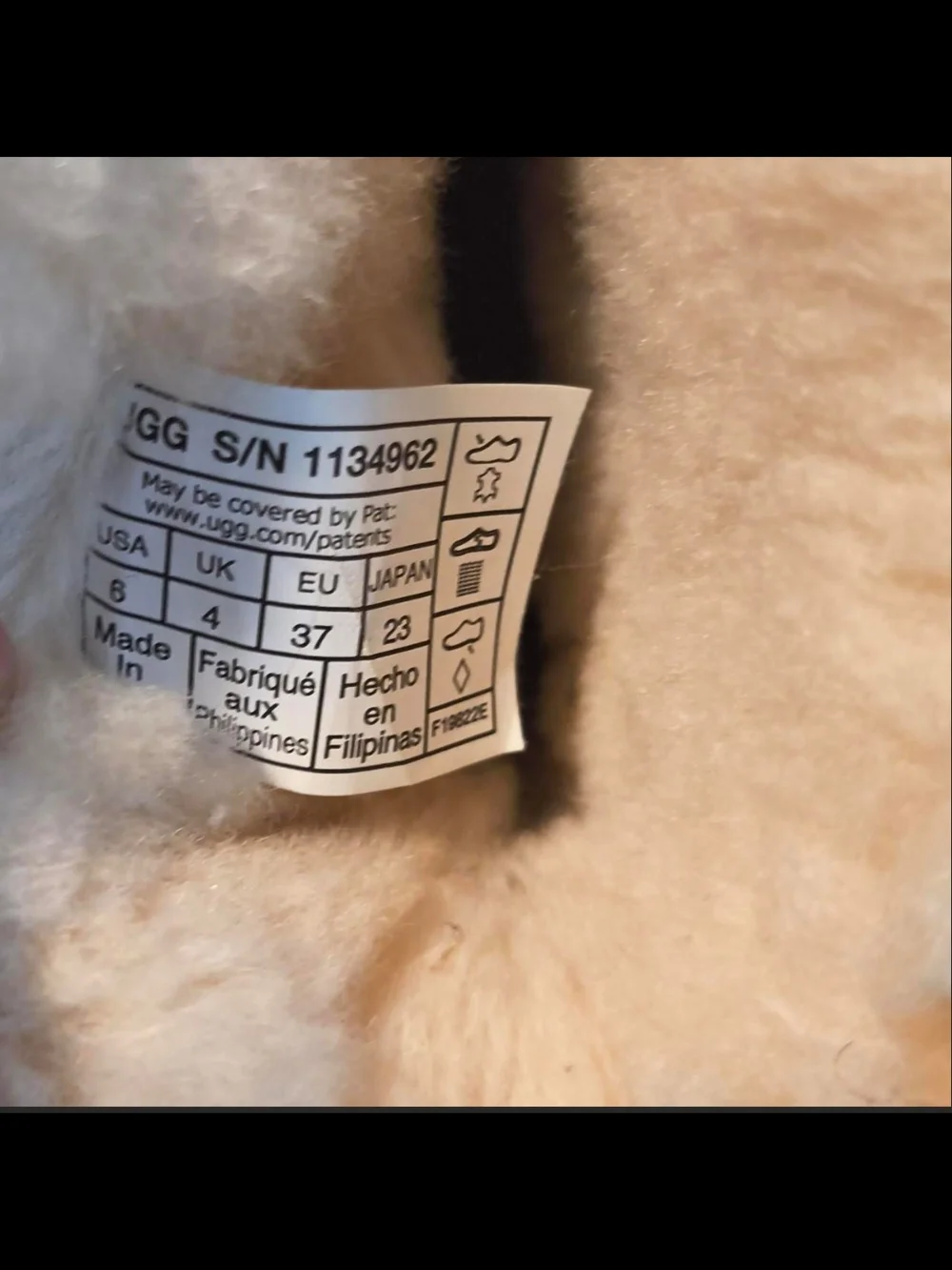 UGG plush cream